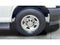 2023 Chevrolet Express Passenger 3500 1LS